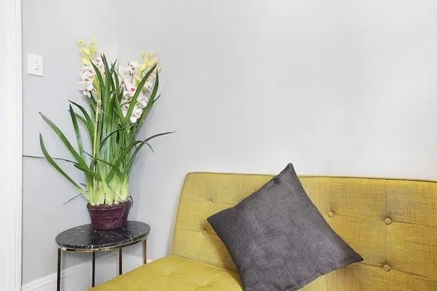 Comfort Stüdyo, 1 Tek Kişilik Yatak, Ortak Banyo