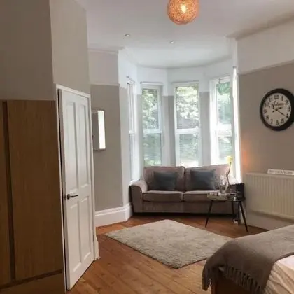 Tek Büyük Yataklı Oda, Banyolu/Duşlu (Scandinavian Room)