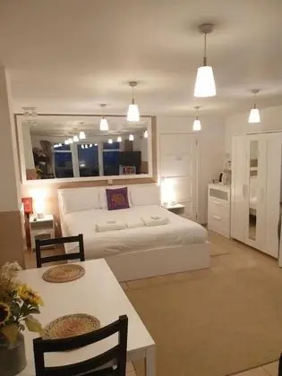 Deluxe Tek Büyük Yataklı Oda