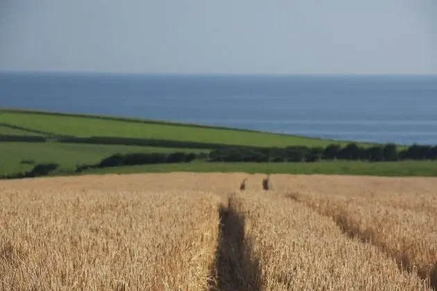 Kır Evi, 2 Yatak Odası, Okyanus Manzaralı
