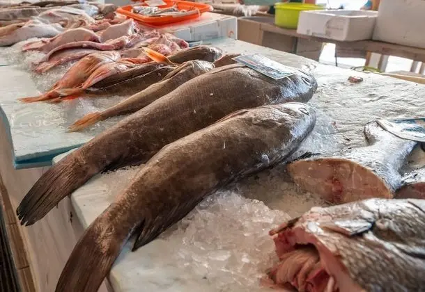 Family Villa, Banyolu/Duşlu, Deniz Manzaralı