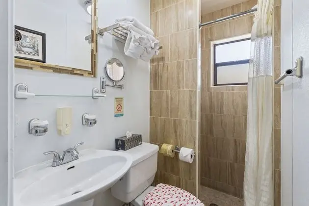 Deluxe Stüdyo Süit (2 Double Beds and Sleeper sofa)