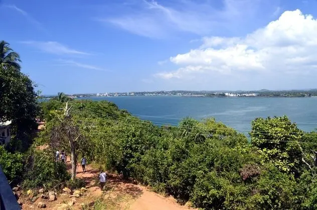 Superior Oda, 1 Yatak Odası, Okyanus Manzaralı