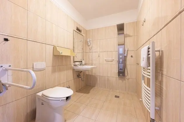 Deluxe Oda, Engellilere Uygun, Şehir Manzaralı