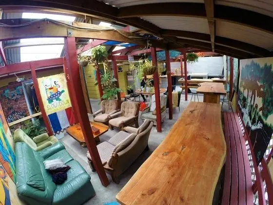 Ortak Ranzalı Oda (4 Bed, Mixed)