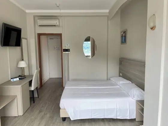 Tek Büyük Yataklı Oda, Balkon, Göl Manzaralı