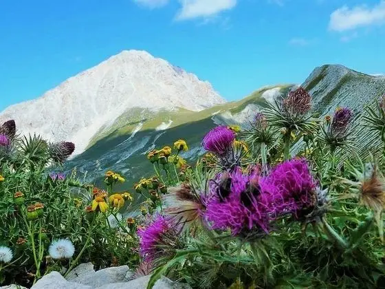 Apart Daire, 2 Yatak Odası, Sigara İçilebilir, Balkon