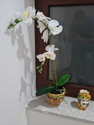 Oda, 1 Yatak Odası, Sigara İçilebilir, Balkon