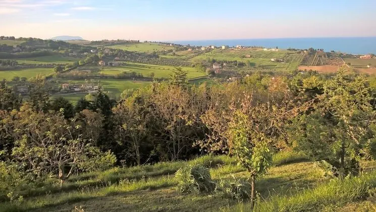 Tek Büyük Yataklı Oda, Banyolu/Duşlu, Deniz Manzaralı