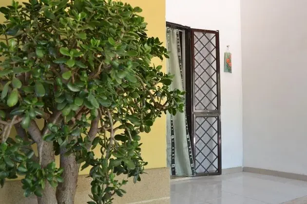 Apart Daire, 1 Yatak Odası, Bahçe Manzaralı