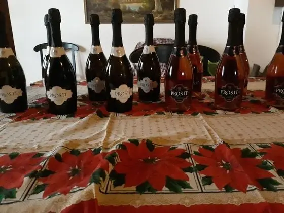 Ortak Ranzalı Oda, 3 Yatak Odası, Şömine