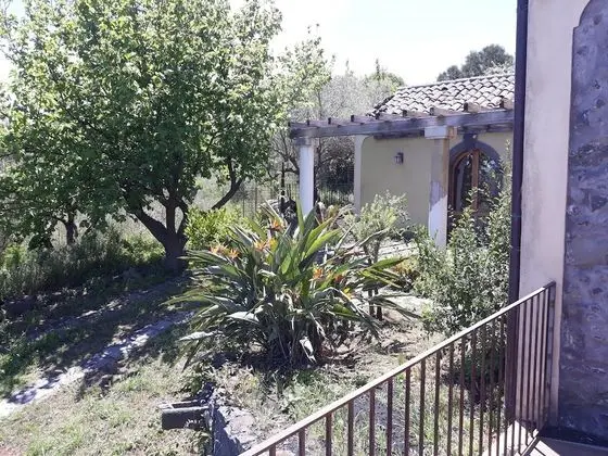Ortak Ranzalı Oda, 3 Yatak Odası, Şömine