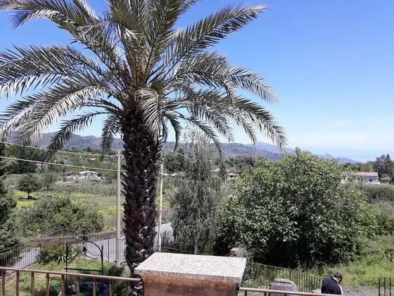 Ortak Ranzalı Oda, 3 Yatak Odası, Şömine