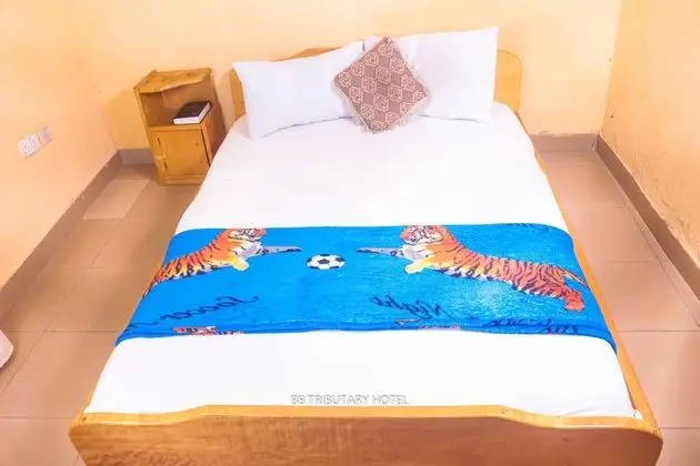 Standard Tek Büyük Yataklı Oda, Sigara İçilmez