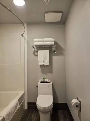 Basic Tek Büyük Yataklı Oda, 2 Büyük (Queen) Boy Yatak