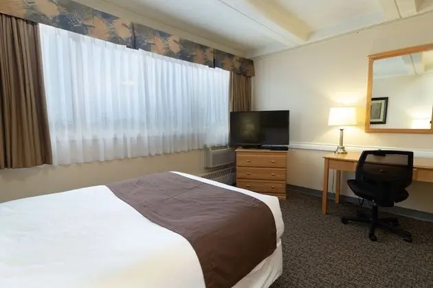 Oda, 1 Büyük (Queen) Boy Yatak