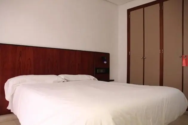 Standard Tek Büyük Yataklı Oda, 1 Çift Kişilik Yatak