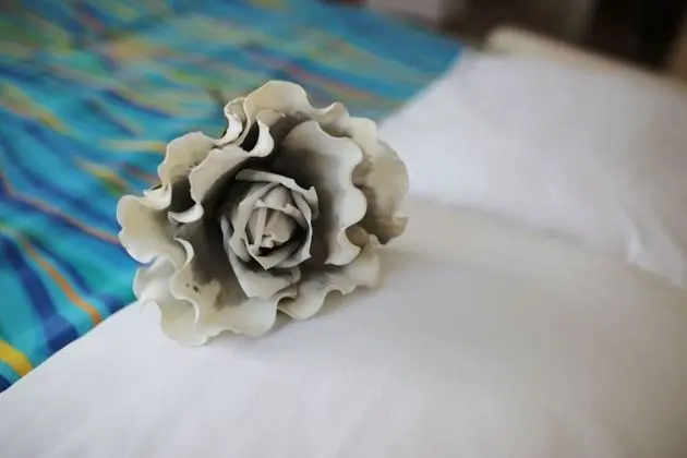 Stüdyo, 1 Yatak Odası, Engellilere Uygun, Teras