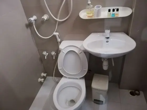 Deluxe İki Ayrı Yataklı Oda, Sigara İçilmez, Şehir Manzaralı