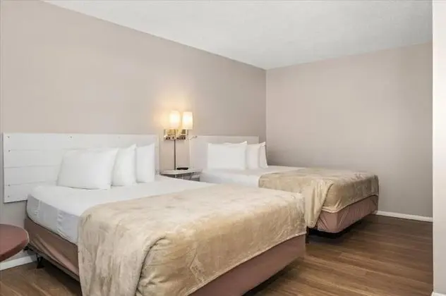 Deluxe Oda, 2 Büyük (Queen) Boy Yatak, Sigara İçilmez, Havuz Manzaralı