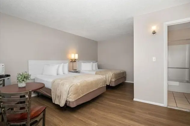 Deluxe Oda, 2 Büyük (Queen) Boy Yatak, Sigara İçilmez, Havuz Manzaralı