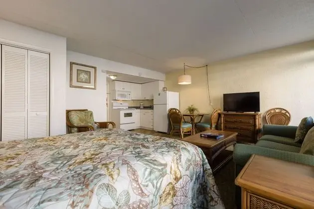 Studio 1 bathroom condo