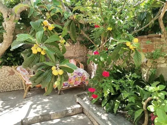 Villa, Birden Çok Yatak