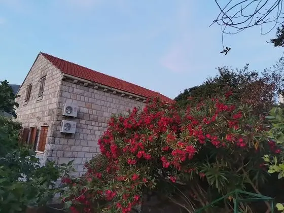 Villa, Birden Çok Yatak