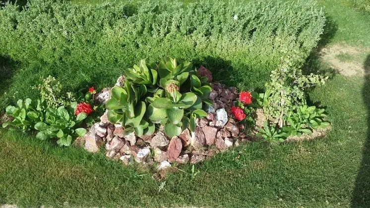 Daire, 1 Yatak Odası, Engellilere Uygun, Teras