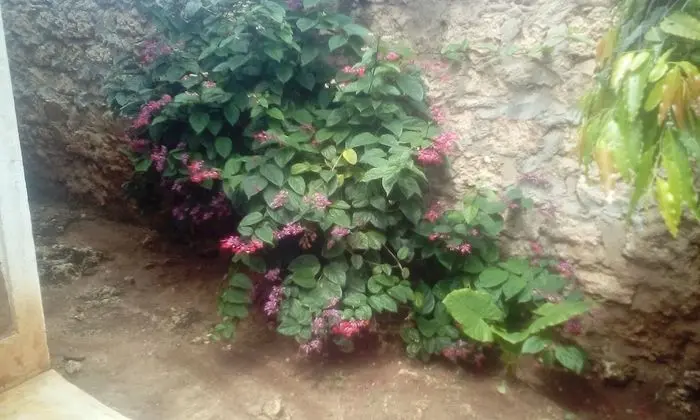 Villa, 4 Yatak Odası, Sigara İçilebilir, Balkon