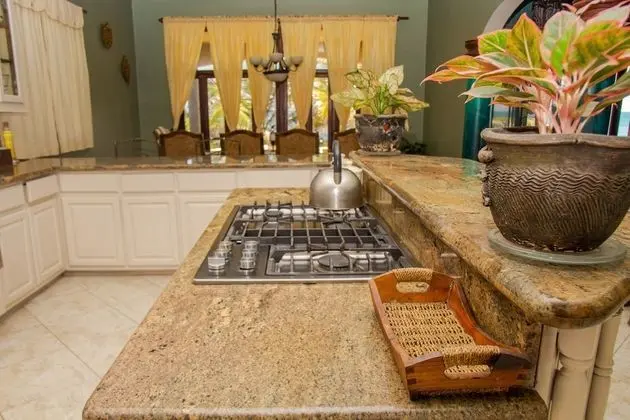 Honeymoon Süit, 1 En Büyük (King) Boy Yatak, Sigara İçilmez (BeachFront White Sand Villa 1BD 1BTH)