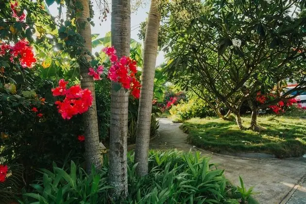 Panoramic Çatı Katı Süiti (Penthouse), 2 Yatak Odası (A Type)