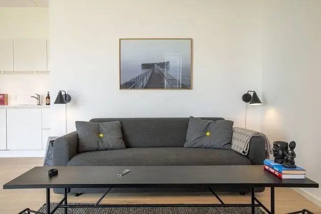 1 bedroom apartment