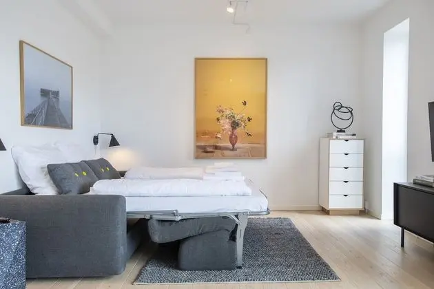 1 bedroom apartment
