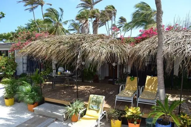 Suite Ocean View One Bedroom (2 persons: King Bed)