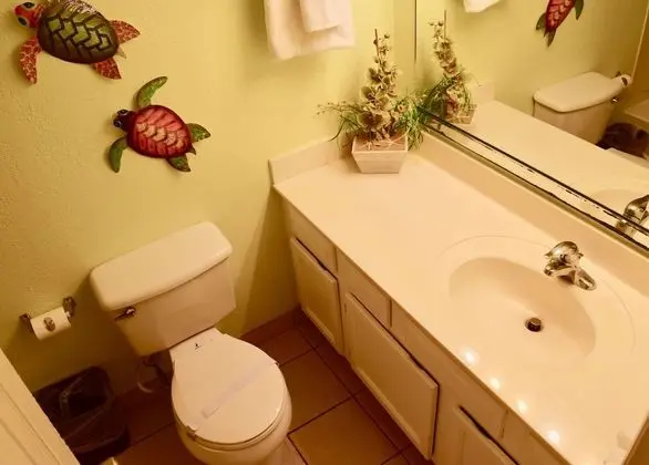 1 bedroom 1 bathroom condo