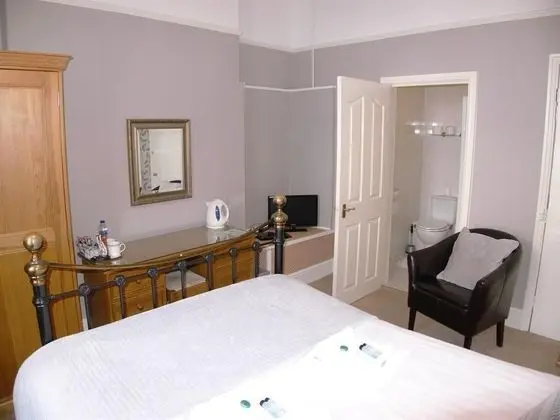 Tek Büyük Yataklı Oda, Banyolu/Duşlu (or  Single Occupancy)