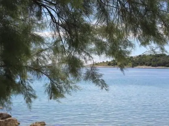 Deluxe Apart Daire, 1 Yatak Odası, Denize Bakan