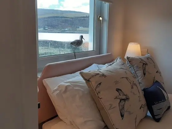 Tek Büyük Yataklı Oda (Room 2)