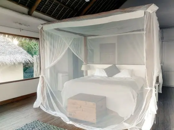Exclusive Villa