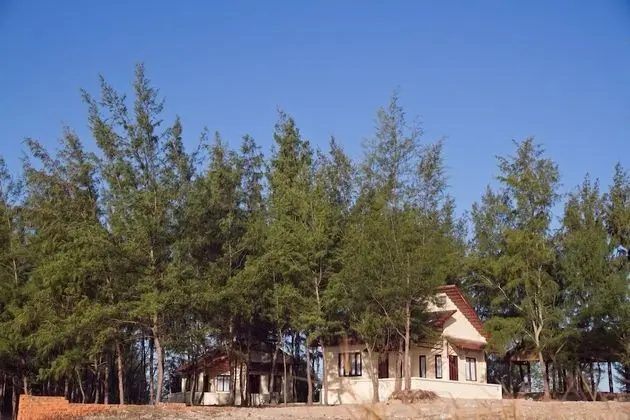 Deluxe Bungalov (Beach)