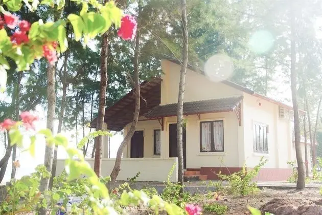 Deluxe Bungalov (Beach)