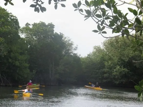 Bungalov, Sigara İçilmez