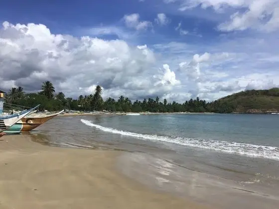 Presidential Süit, 1 Büyük (Queen) Boy Yatak ve Çekyat