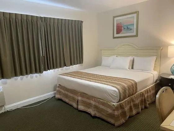 Deluxe Oda, 1 En Büyük (King) Boy Yatak, Küçük Mutfak