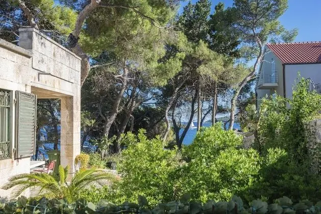 Premium Apart Daire, 1 Büyük (Queen) Boy Yatak ve Çekyat