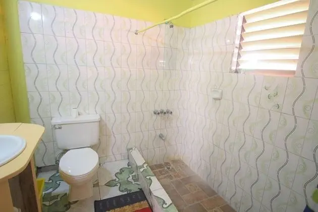 Basic Kır Evi