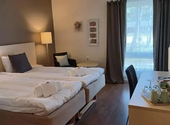 Superior Tek Büyük Yataklı Oda