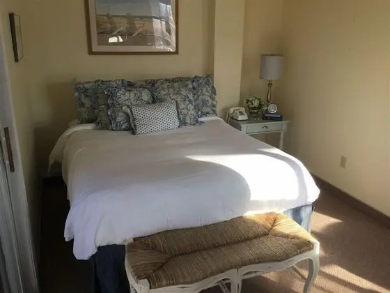 Blue Suite 101, 1 Queen Bed