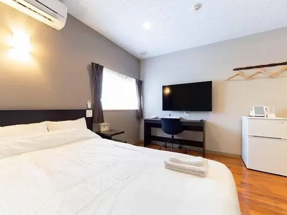 Basic Tek Büyük Yataklı Oda (In Building D)